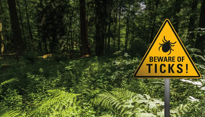 beware_of_tick
