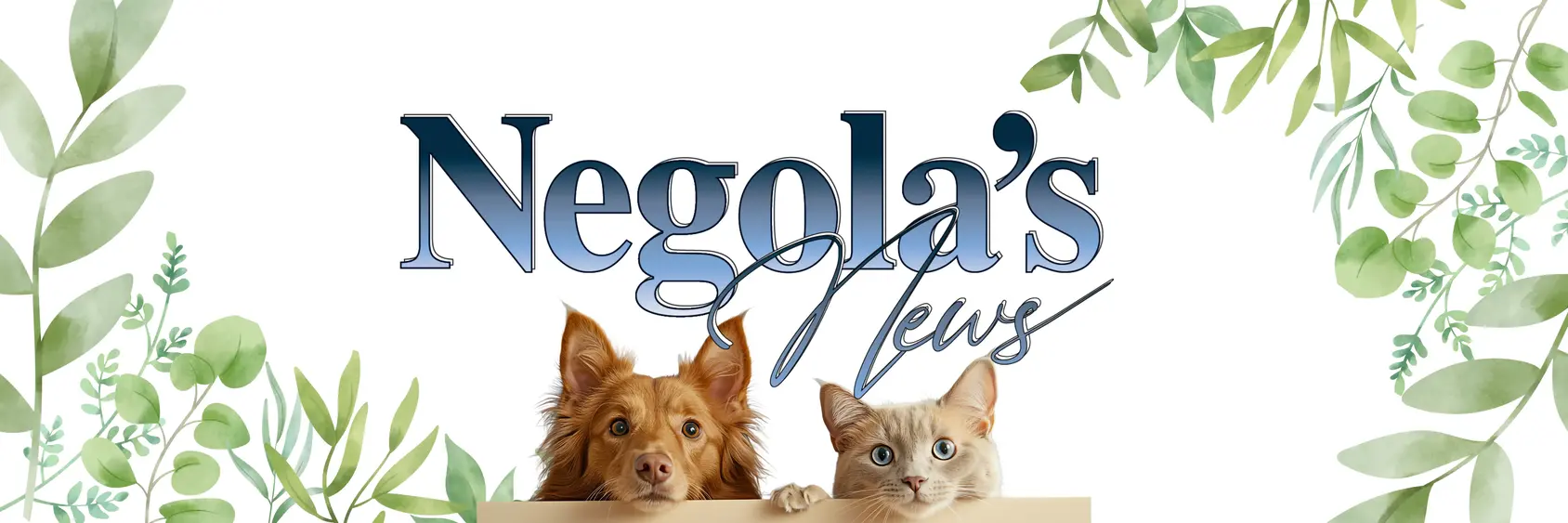 Blog & Newsletter Banner